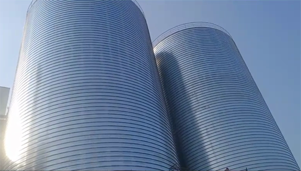 东安2座混凝土高架卷板仓